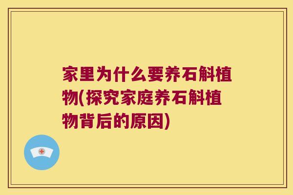 家里为什么要养石斛植物(探究家庭养石斛植物背后的原因)