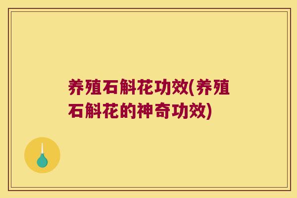 养殖石斛花功效(养殖石斛花的神奇功效)