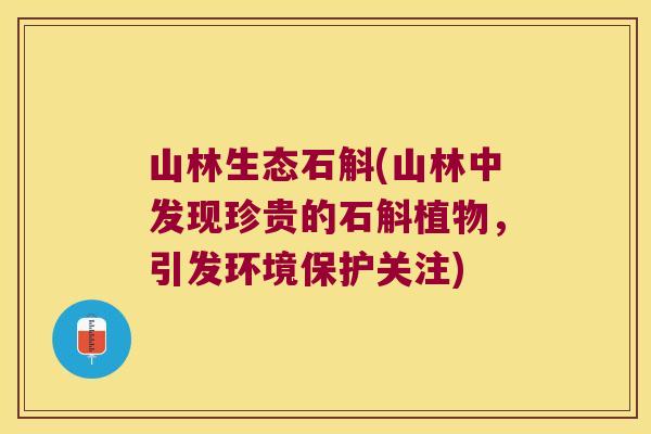 山林生态石斛(山林中发现珍贵的石斛植物，引发环境保护关注)