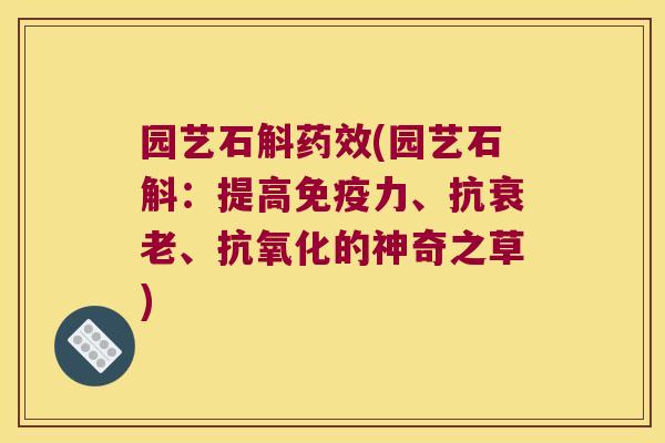 园艺石斛药效(园艺石斛：提高免疫力、抗衰老、抗氧化的神奇之草)