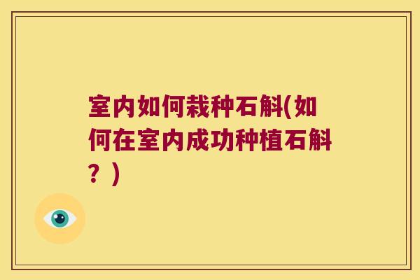 室内如何栽种石斛(如何在室内成功种植石斛？)