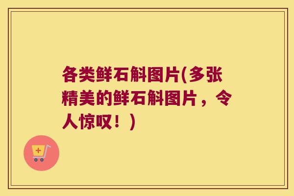 各类鲜石斛图片(多张精美的鲜石斛图片，令人惊叹！)