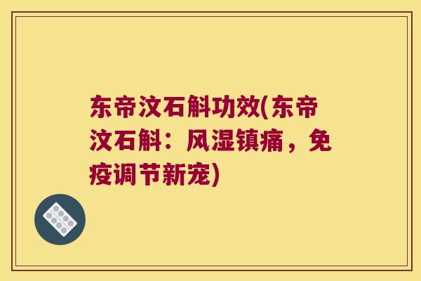 东帝汶石斛功效(东帝汶石斛：，调节新宠)