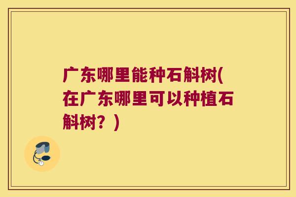 广东哪里能种石斛树(在广东哪里可以种植石斛树？)