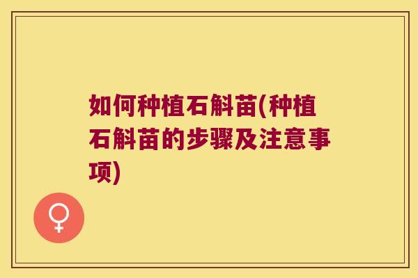 如何种植石斛苗(种植石斛苗的步骤及注意事项)