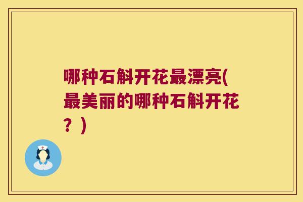 哪种石斛开花最漂亮(最美丽的哪种石斛开花？)