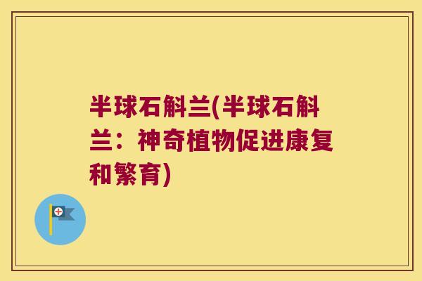半球石斛兰(半球石斛兰：神奇植物促进康复和繁育)