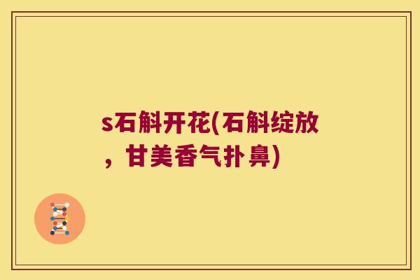 s石斛开花(石斛绽放，甘美香气扑鼻)