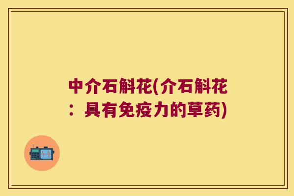 中介石斛花(介石斛花:具有力的草药) 中介石斛花(介石斛花:具有力的草药)