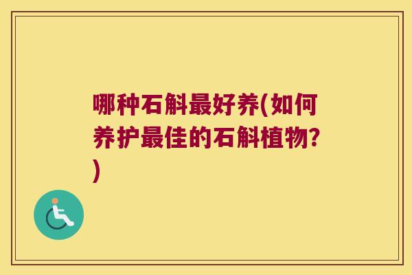 哪种石斛好养(如何养护佳的石斛植物？)