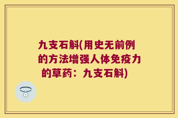 九支石斛(用史无前例的方法增强人体力 的草药:九支石斛) 九支石斛(用史无前例的方法增强人体力 的草药:九支石斛)