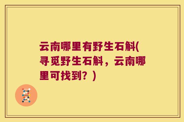 云南哪里有野生石斛(寻觅野生石斛，云南哪里可找到？)