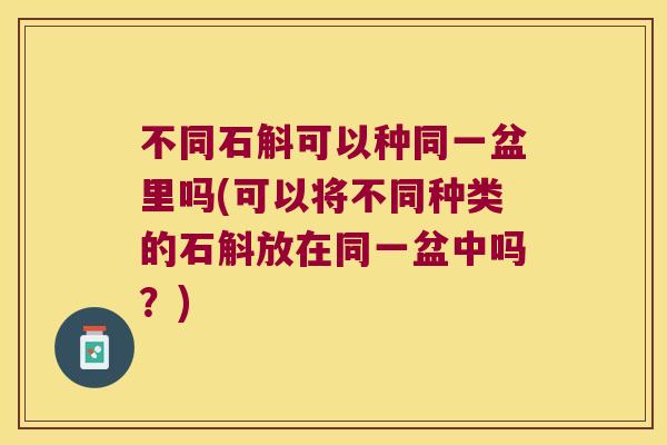 不同石斛可以种同一盆里吗(可以将不同种类的石斛放在同一盆中吗？)