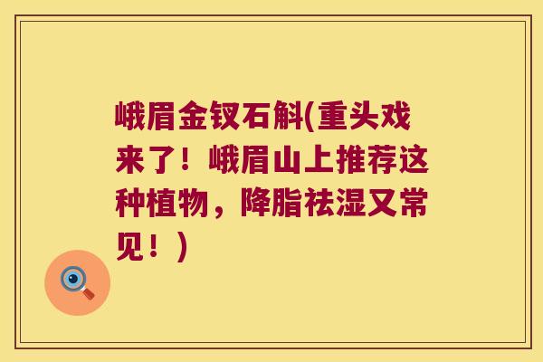 峨眉金钗石斛(重头戏来了！峨眉山上推荐这种植物，祛湿又常见！)