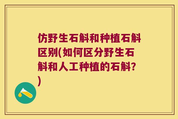 仿野生石斛和种植石斛区别(如何区分野生石斛和人工种植的石斛？)