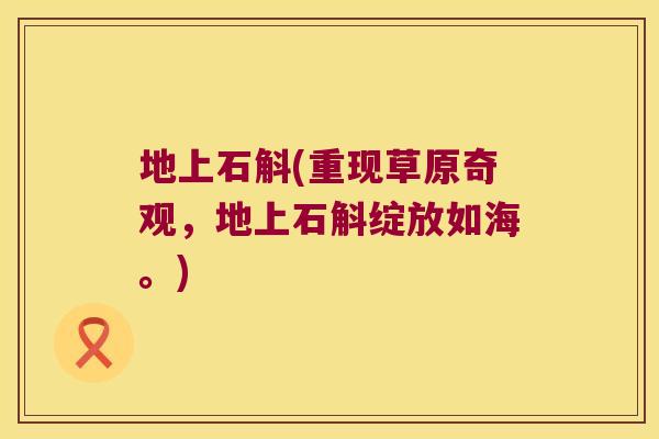 地上石斛(重现草原奇观，地上石斛绽放如海。)