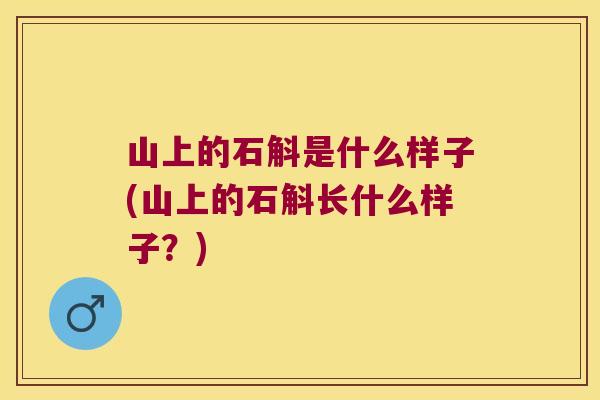 山上的石斛是什么样子(山上的石斛长什么样子？)