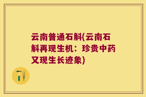 云南普通石斛(云南石斛再现生机：珍贵又现生长迹象)
