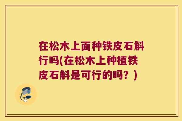 在松木上面种铁皮石斛行吗(在松木上种植铁皮石斛是可行的吗？)