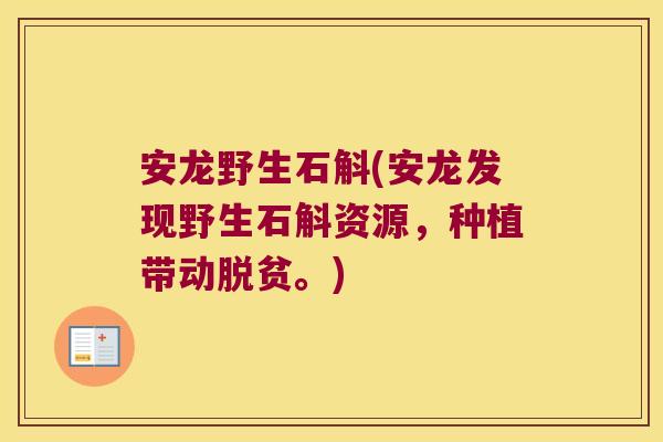 安龙野生石斛(安龙发现野生石斛资源，种植带动脱贫。)