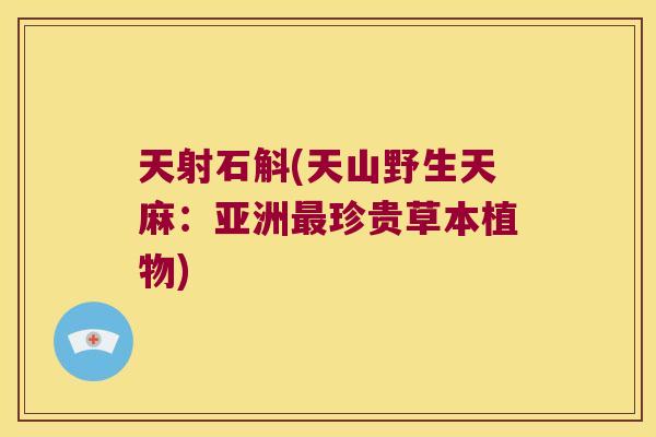 天射石斛(天山野生天麻:亚洲珍贵草本植物) 天射石斛(天山野生天麻:亚洲珍贵草本植物)