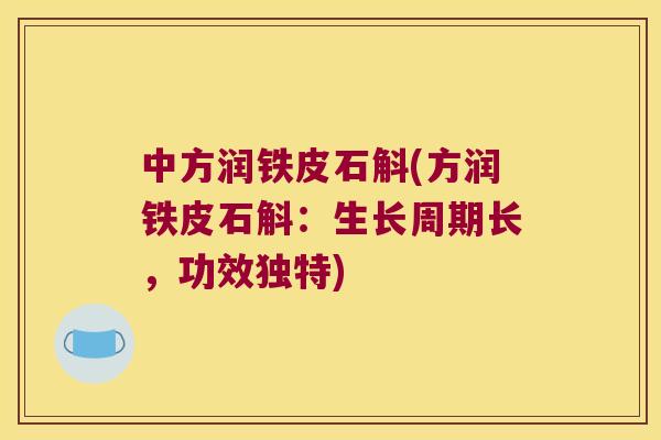 中方润铁皮石斛(方润铁皮石斛：生长周期长，功效独特)