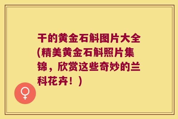 干的黄金石斛图片大全(精美黄金石斛照片集锦，欣赏这些奇妙的兰科花卉！)