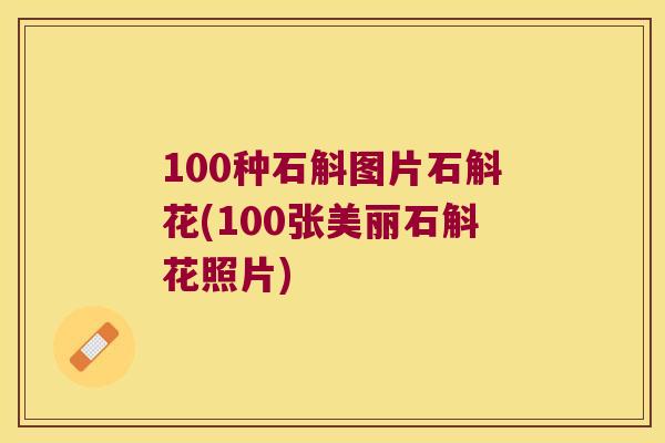 100种石斛图片石斛花(100张美丽石斛花照片)