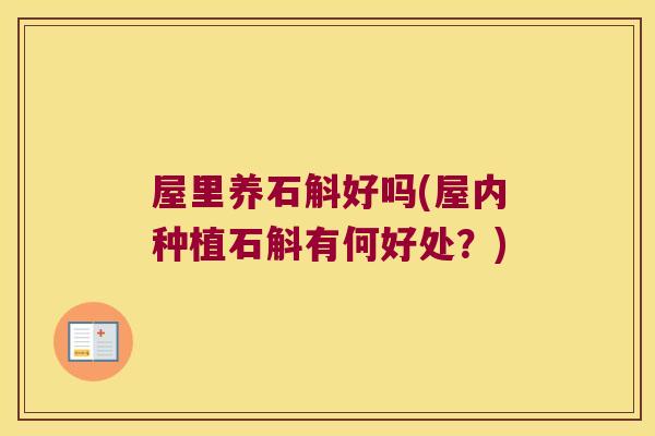 屋里养石斛好吗(屋内种植石斛有何好处？)