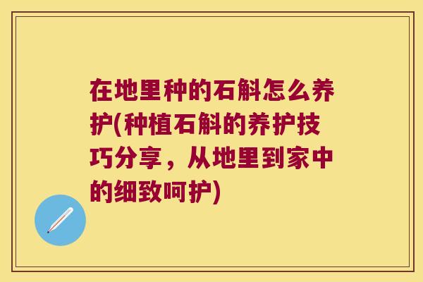 在地里种的石斛怎么养护(种植石斛的养护技巧分享，从地里到家中的细致呵护)
