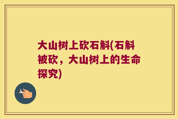 大山树上砍石斛(石斛被砍，大山树上的生命探究)