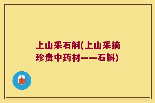 上山采石斛(上山采摘珍贵中药材——石斛)