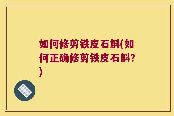 如何修剪铁皮石斛(如何正确修剪铁皮石斛？)