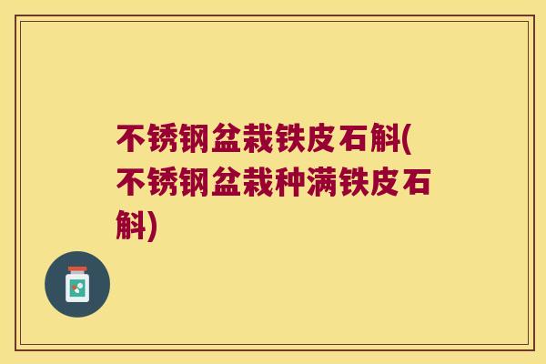不锈钢盆栽铁皮石斛(不锈钢盆栽种满铁皮石斛)