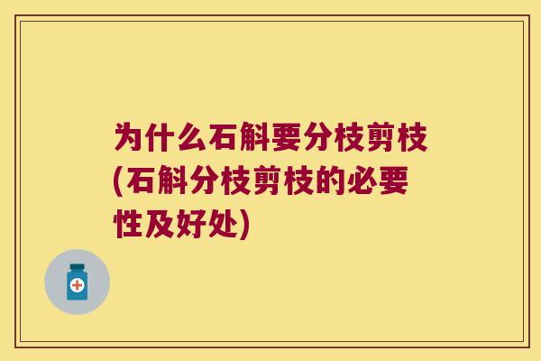 为什么石斛要分枝剪枝(石斛分枝剪枝的必要性及好处)