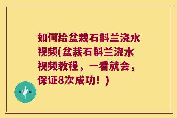 如何给盆栽石斛兰浇水视频(盆栽石斛兰浇水视频教程，一看就会，保证8次成功！)
