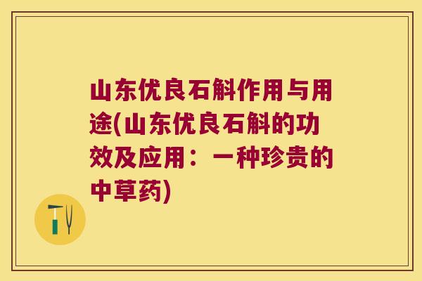 山东优良石斛作用与用途(山东优良石斛的功效及应用：一种珍贵的中草药)