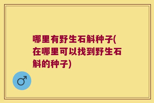 哪里有野生石斛种子(在哪里可以找到野生石斛的种子)