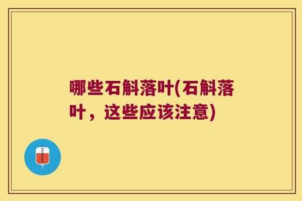 哪些石斛落叶(石斛落叶，这些应该注意)