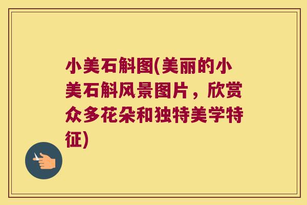 小美石斛图(美丽的小美石斛风景图片，欣赏众多花朵和独特美学特征)