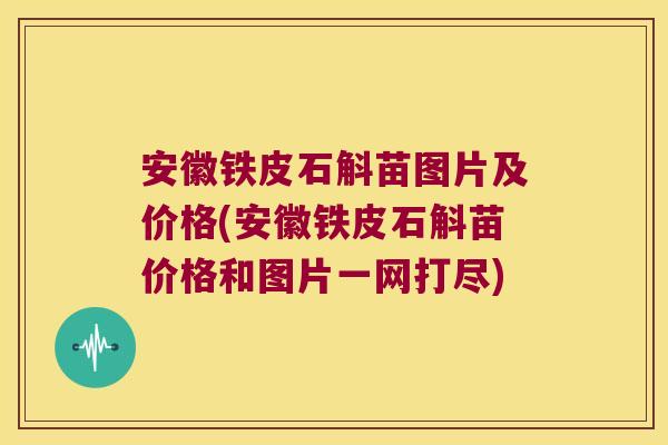 安徽铁皮石斛苗图片及价格(安徽铁皮石斛苗价格和图片一网打尽)