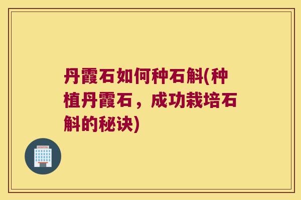 丹霞石如何种石斛(种植丹霞石，成功栽培石斛的秘诀)