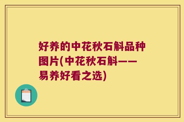 好养的中花秋石斛品种图片(中花秋石斛——易养好看之选)