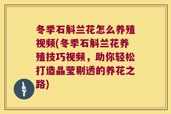 冬季石斛兰花怎么养殖视频(冬季石斛兰花养殖技巧视频，助你轻松打造晶莹剔透的养花之路)