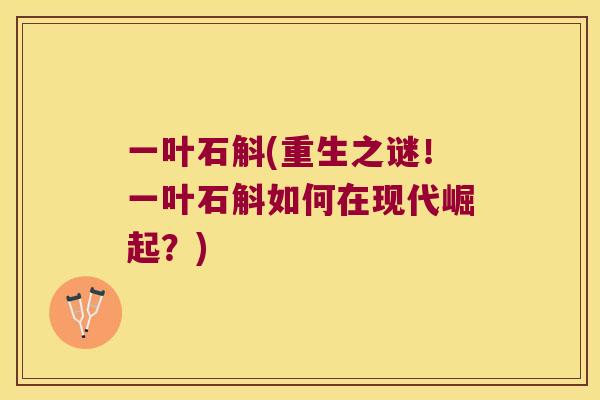 一叶石斛(重生之谜！一叶石斛如何在现代崛起？)