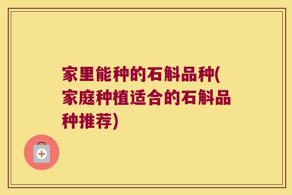 家里能种的石斛品种(家庭种植适合的石斛品种推荐)