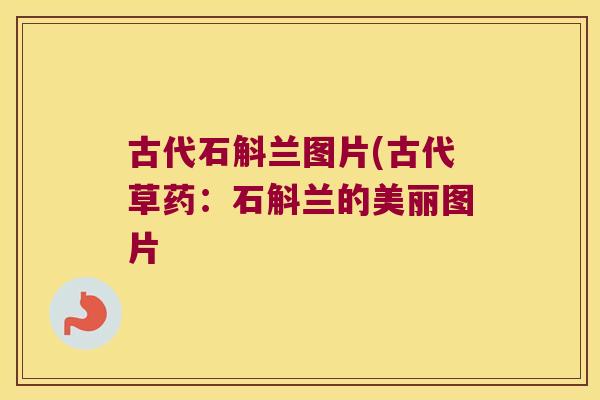 古代石斛兰图片(古代草药：石斛兰的美丽图片
