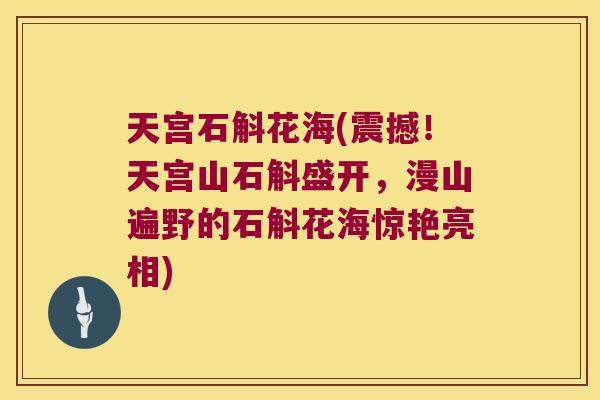 天宫石斛花海(震撼！天宫山石斛盛开，漫山遍野的石斛花海惊艳亮相)