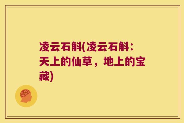 凌云石斛(凌云石斛：天上的仙草，地上的宝藏)