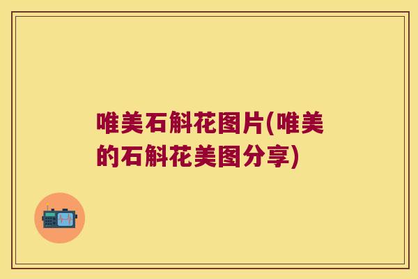 唯美石斛花图片(唯美的石斛花美图分享)